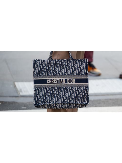dior book tote