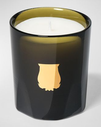 Cire Trudon Worlds Finest Perfumed Candle, Superior Craftsmanship and ...