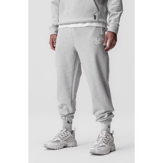 ASRV Tech Terry Oversized Sweatpants in Heather Grey at Nordstrom, Size X-Large