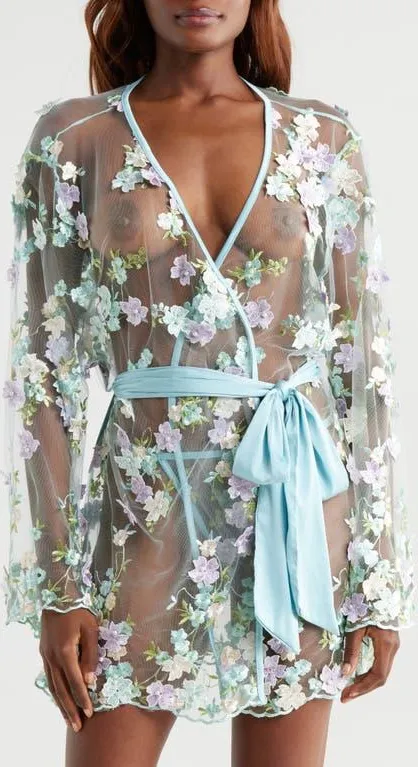 Floral Embroidered Sheer Mesh Robe in Powder Blue Multi at Nordstrom, Size Xx-Large