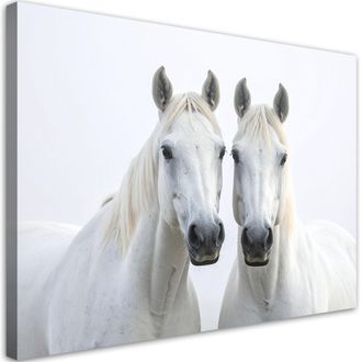 Feeby Cuadro En Lienzo, Dos Caballos Blancos Animales Naturaleza, 100x70