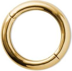Éliou Boble Bangle in Gold Plated at Nordstrom