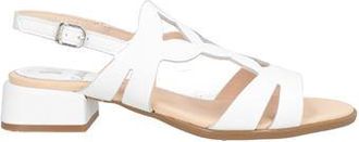 Callaghan ADAPTACTION