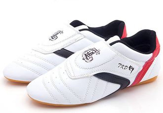 Generic Taekwondo Shoes Boxing Sneaker Kung Fu Taichi Martial Arts Lightweight Sports for Adults Kids(10.5 UK Child) White