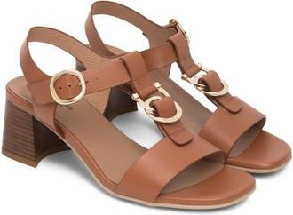 Nero Giardini T-Strap Block Heel Sandal in Cognac at Nordstrom, Size 10Us