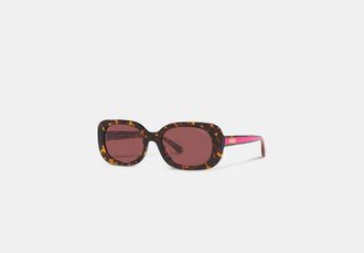 Coach Badge Rounded Square Sunglasses