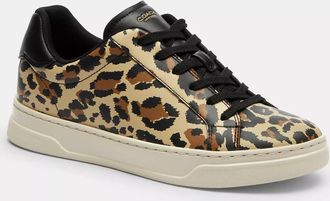 Coach High Line Sneaker With Leopard Print