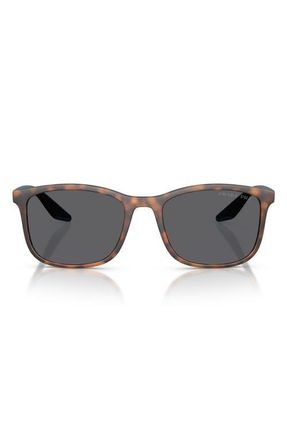 Prada 56mm Polarized Pillow Sunglasses in Havana Rubber at Nordstrom