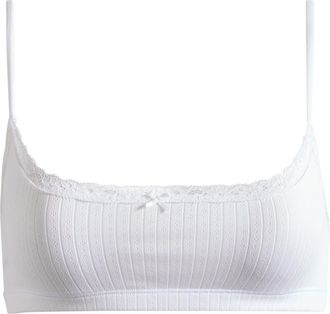 SKIMS Scoop Pointelle Bralette in Snow at Nordstrom, Size X-Small