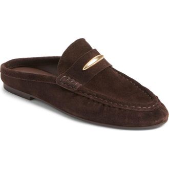 Steve Madden Rixy Metal Crescent Mule in Brown Suede at Nordstrom, Size 7.5