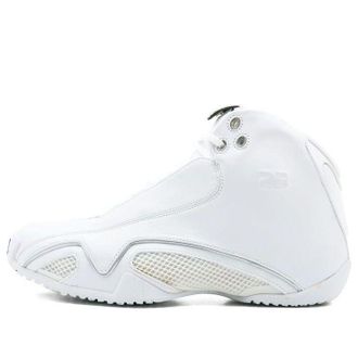 Nike Jordan Air Jordan 21 OG White 313038-101