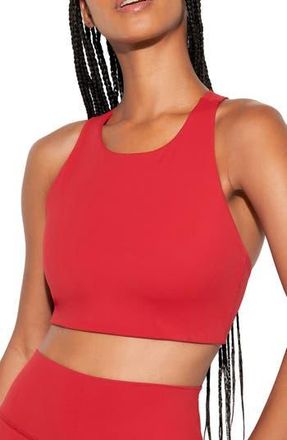 Spiritual Gangster Laurel Longline Sports Bra in Red Heart at Nordstrom Rack, Size X-Small