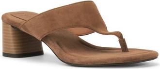 Vagabond Evie Block Heel Flip Flop in Cocoa Brown at Nordstrom, Size 10Us