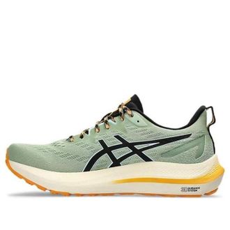 Asics GT-2000 12 TR Nature Bathing - Green Fellow Yellow 1011B775-250