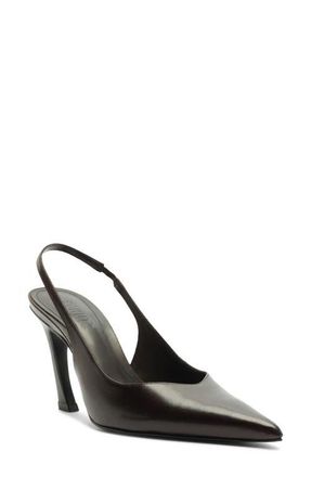 Schutz Lexi Slingback Pointed Toe Pump in Dark Brown at Nordstrom, Size 6.5