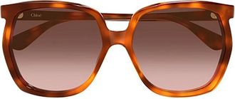 Chlo&eacute; Ch0389S Zonnebril - Dames - Accessoires - Bruin - Maat: 61 MM Nylon