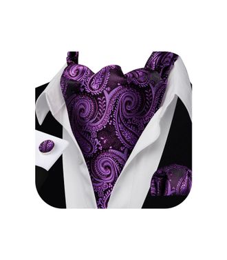 Barry.Wang Mens Cravat Tie Silk Ascot Paisley Scarf Self Ties Pocket Square Cufflinks Set Dress Wedding