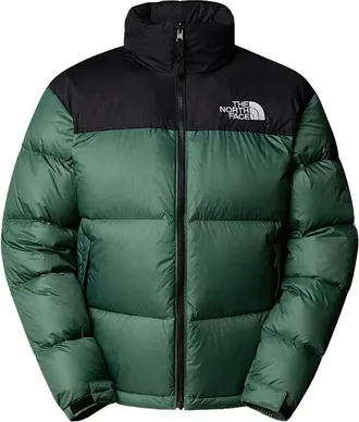 The North Face Hooded Puffer Jacket