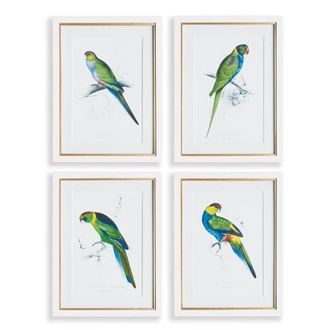 Napa Home & Garden Colorful Parrots Prints St/4 in Green at Nordstrom, Size Medium