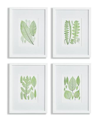 Napa Home & Garden Set Of 4 Assorted Leaf Prints