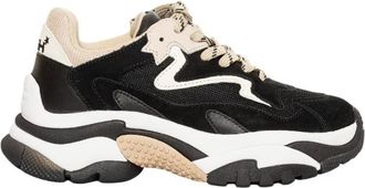 Ash Addict Sneaker - - Shoes - Donna - Multicolore - 37 EU