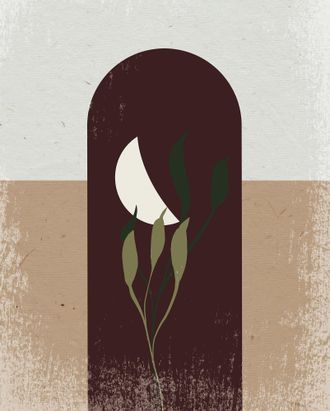 Komar Bild »Silence Half Moon« Natur 1 Stk. tlg. Wandbild zur Dekoration - ohne Rahmen