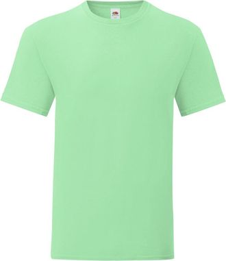 Fruit Of The Loom Fruit of the Loom Iconisch T-shirt voor heren (set van 5) (Neo Munt)