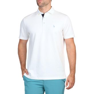 Tailorbyrd Solid Modal Blend Polo in White at Nordstrom Rack, Size Xx-Large