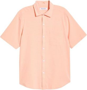 Tommy Bahama Bahama Coast Sintra Stripe IslandZone Short Sleeve Button-Up Shirt in Spiced Coral at Nordstrom, Size Xx-Large