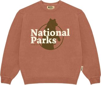 Parks Project Womens Our National Parks Puff Print Crew Sweater In Rust