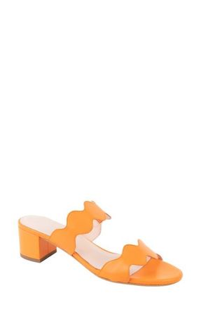 Patricia Green Palm Beach Slide Sandal in Orange Leather at Nordstrom, Size 9