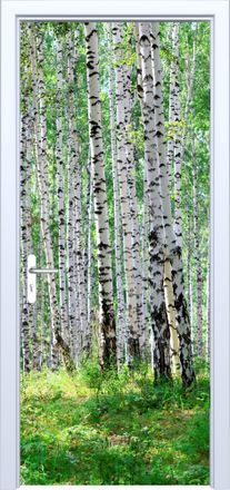 OEM Adhesivo De Tela Para Puerta Con Dise&ntilde;o De Bosque De Abedules 876pd