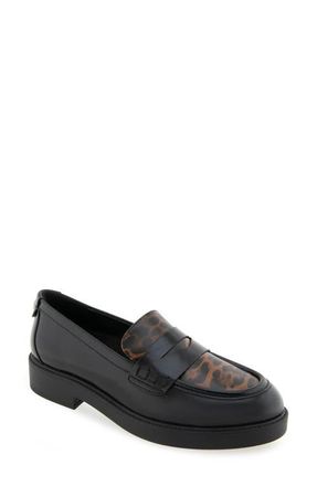 Aerosoles Poeta Penny Loafer in Black/Tobacco Multi at Nordstrom, Size 7.5