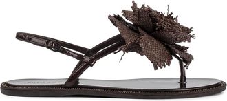 Le Silla Rose sandals - Brown