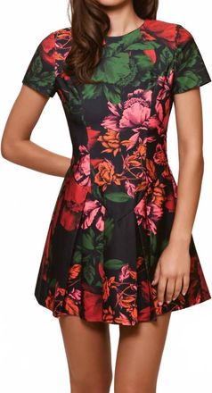 Hutch Emanuella Dress In Black Multi Inverted Sketched Floral
