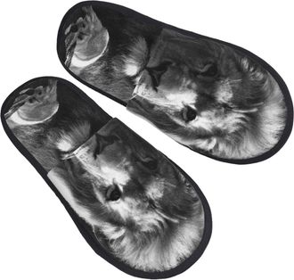Generic Fluffy Slippers Lion Unisex Slipper Cozy House Shoes For Women Spa Winter L