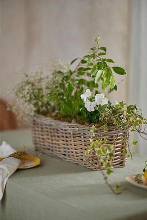 Terrain Rattan Trough Basket Planter