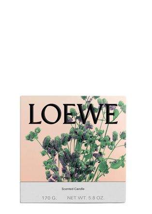 Loewe Oregano Candle - Small 170g, Candle, Mid-intensity Fragrance, Aromatic Perfume of a Mediterranean Herb Garden, Woody and Amber Notes, Small