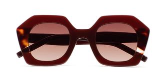 Kaleos Pavicic C2 Mens Sunglasses Brown Size 47