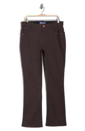 Democracy AbSolution High Waist Itty Bitty Boot Jeans in Espresso at Nordstrom Rack, Size 14 W