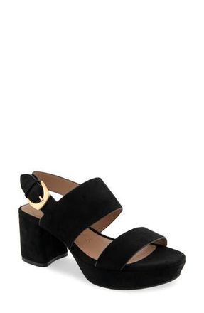 Aerosoles Camilia Platform Sandal in 808 Black F Suede at Nordstrom Rack, Size 9.5