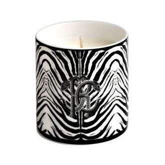 Roberto Cavalli Home Scented Candle in Zebra at Nordstrom