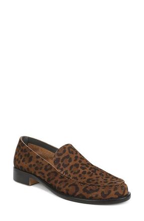Franco Sarto Cove Loafer in Brown Multi Suede at Nordstrom, Size 6.5