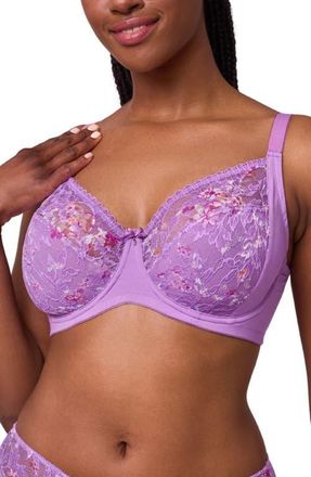 Montelle Intimates Muse Underwire Full Cup Lace Bra in Tulip Field at Nordstrom, Size 36C