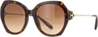 Chopard SCH354V 0743 Shiny Brown Havana/Gold/Brown Gradient