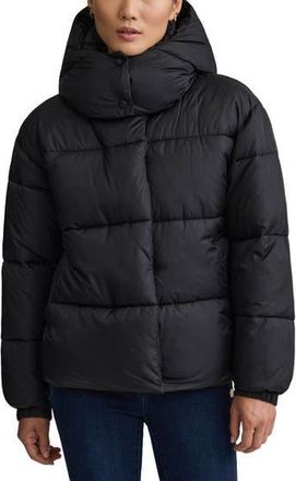 NVLT Cire Wonder Puffer Jacket with Removable Hood in Black at Nordstrom Rack, Size Large