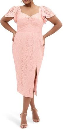 City Chic Maisie Flutter Sleeve Lace Dress in Ballet Pink at Nordstrom Rack, Size S/16W