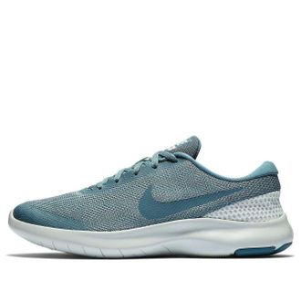 Nike (WMNS) Nike Flex Experience RN 7 Celestial Teal 908996-404