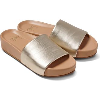 beek Pelican Slide Sandal in Platinum Beach at Nordstrom, Size 11