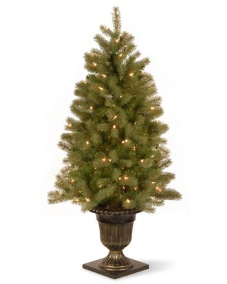 National Tree Company 4Ft Feel-Real Downswept Douglas Fir Entrance Tree